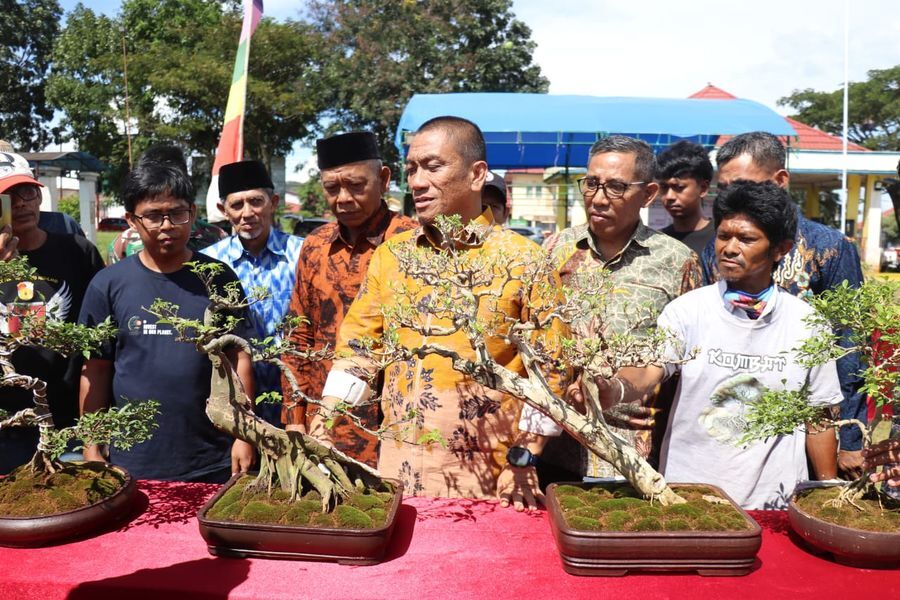 Irwan Kagumi Pesona Bonsai Endemik