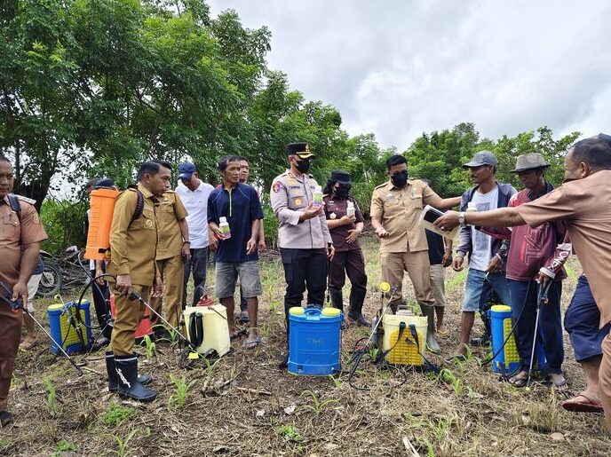 IST
SEMPROT--Bupati Sidrap Syaharuddin Alrif ikut semprot jagung usia 10 hari guna memantapkan Sidrap menuju swasembada 
