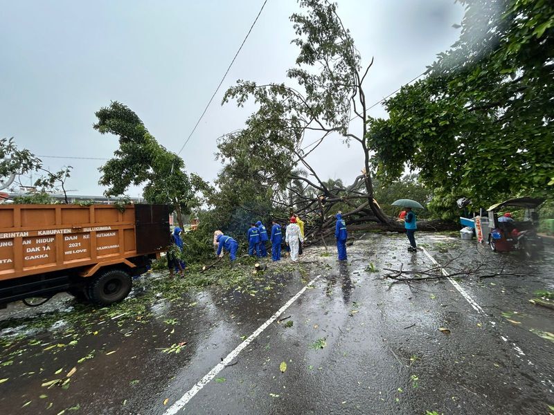 ANGIN KENCANG -- Hujan deras disertai angin kencang menghantam sejumlah wilayah di Kabupaten Bulukumba, sejak Kamis (12/6), dini hari. Akibatnya terjadi beberapa kerusakan di pusat kota  termasuk tumbangnya sejumlah pohon besar di sekitar Lapangan Pemuda.  
