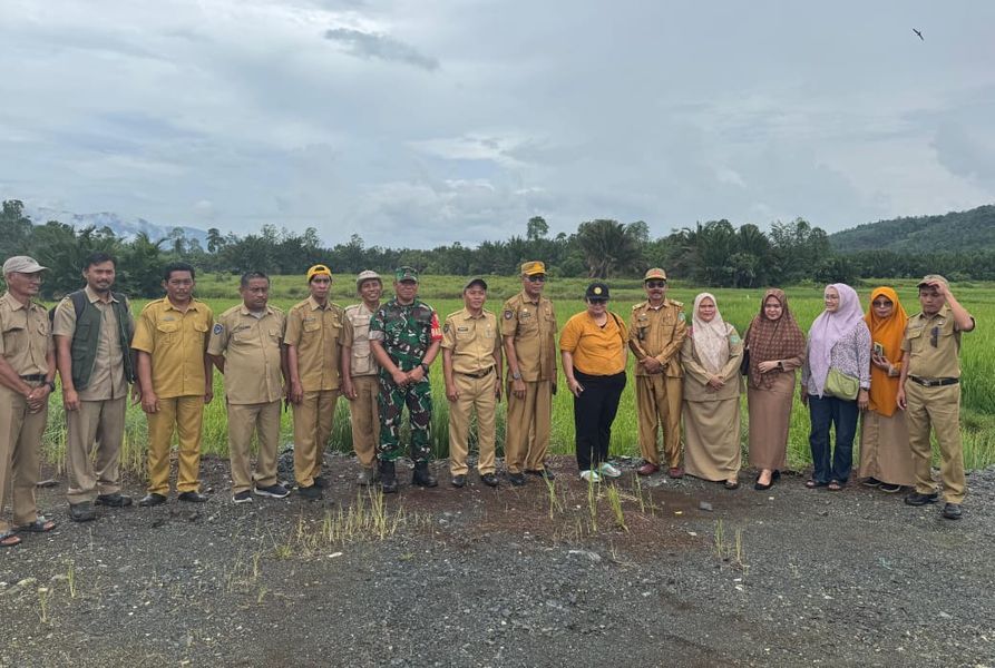 CETAK SAWAH -- Direktur Pengadaan Lahan, Direktorat Jenderal Lahan dan Irigasi Kementan RI, Geloria Merry Ginting turun langsung ke Kabupaten Luwu Timur untuk meninjau potensi usulan cetak sawah seluas 10.000 hektare baru-baru ini. 