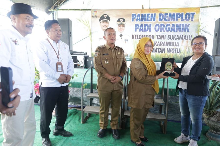 PANEN DEMPLOT -- Bupati Luwu Timur, H Irwan Bachri Syam bersama Wakil Bupati Hj. Puspawati Husler, menghadiri kegiatan panen demplot padi organik milik Kelompok Tani Sukamaju di Desa Karambua, Kecamatan Wotu, Selasa (10/6). 