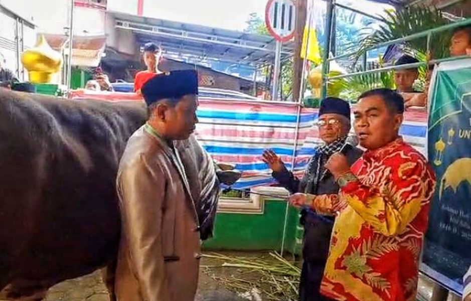 SERAHKAN SAPI -- Bupati Tana Toraja Zadrak Tombag saat menyerahkan sapi kurban bantuan Presiden Prabowo kepada  panitia kurban di Masjid Nurul Jihad Se'pon, Makale, 