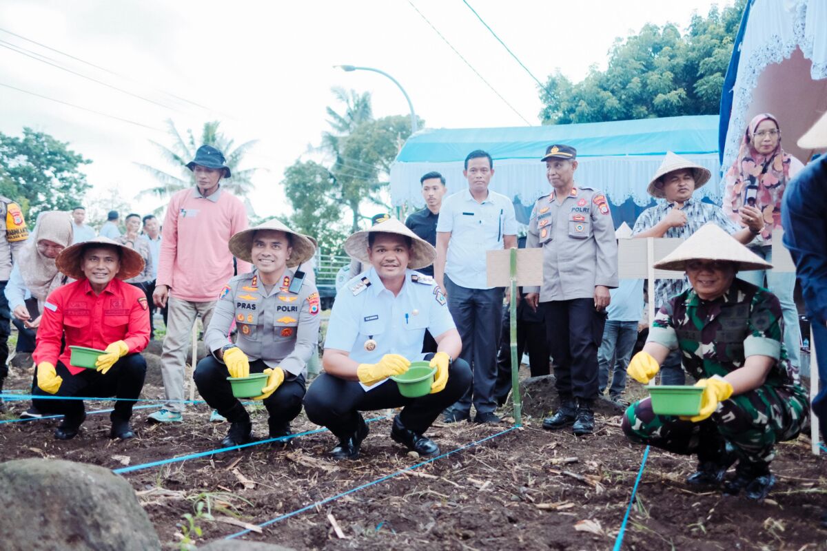 Bupati Bantaeng M. Fathul Fauzy Nurdin bersama jajaran Kodim 1410, Polres dan masyarakat kabupaten Bantaeng turut serta melakukan Penanaman Jagung Serentak Kuartal III secara virtual di lahan Perhutanan Sosial Kabupaten Bantaeng.