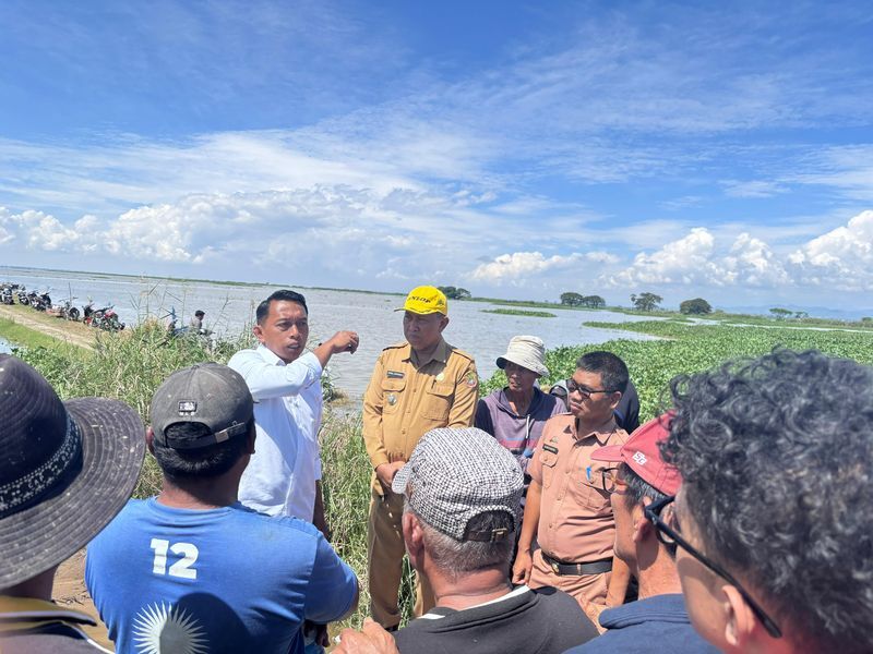 IST
MENINJAU--Bupati Sidrap H Syaharuddin Alrif turun langsung meninjau sawah petani yang terendam akibat luapan Danau Sidenreng dan tingginya curah hujan dalam beberapa waktu terakhir di Lingkungan 2 Walatedong, Kelurahan Sidenreng, Kecamatan Watang Sidenreng, Selasa (8/7)
