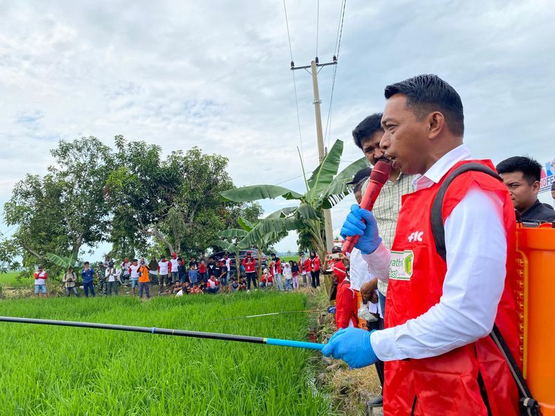 SEMPROT MASSAL -- Bupati Sidrap, Syaharuddin Alrif memimpin penyemprotan massal pengendalian organisme pengganggu tanaman (OPT) di Kelurahan Empagae, Kecamatan Watang Sidenreng dalam upaya menjaga stabilitas produksi padi pada Musim Tanam Kedua (MT II) tahun 2025, Rabu (9/7).
