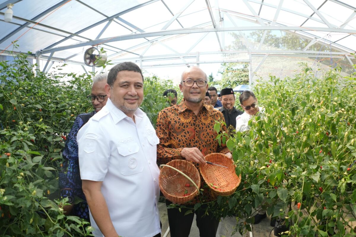 6.000 Lebih Ketua RT Wajib Jalankan Urban Farming