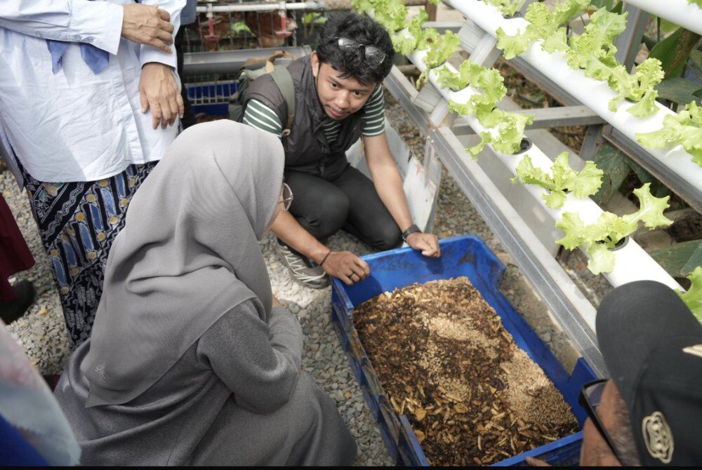 ist
URBAN FARMING--Ketua TP PKK Kota Makassar, Melinda Aksa, menghadiri peluncuran program Urban Farming yang digelar Pemerintah Kota Makassar di Kelompok Wanita Tani (KWT) Talas, Jalan Sunu, Minggu (3/8).
