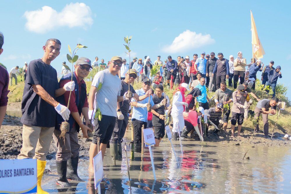 TANAM MANGROVE -- Bupati Bantaeng, M Fathul Fauzy Nurdin melakukan penanaman 5.000 bibit mangrove di kawasan Pesisir Pantai Bombong, Desa Biangkeke, Kecamatan Pa'jukukang, Kabupaten Bantaeng, Minggu, (3/8).