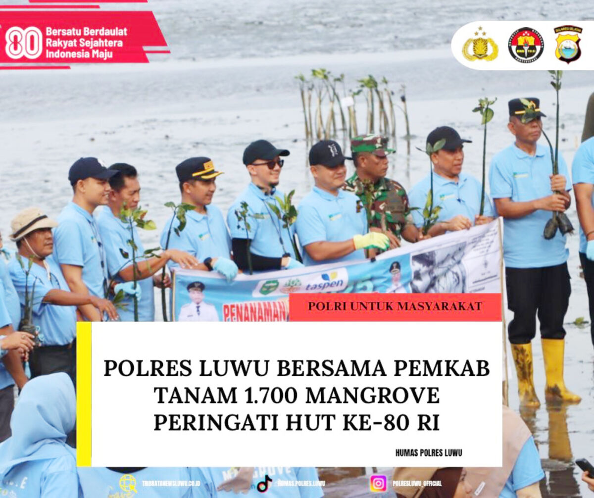 TANAM MANGROVE -- Pemkab Luwu bersama unsur Forkopimda dan instansi terkait melaksanakan kegiatan penanaman 1.700 bibit pohon mangrove di kawasan pesisir Pantai Mamunta, Kecamatan Belopa Utara, Kabupaten Luwu, Kamis (21/8). 