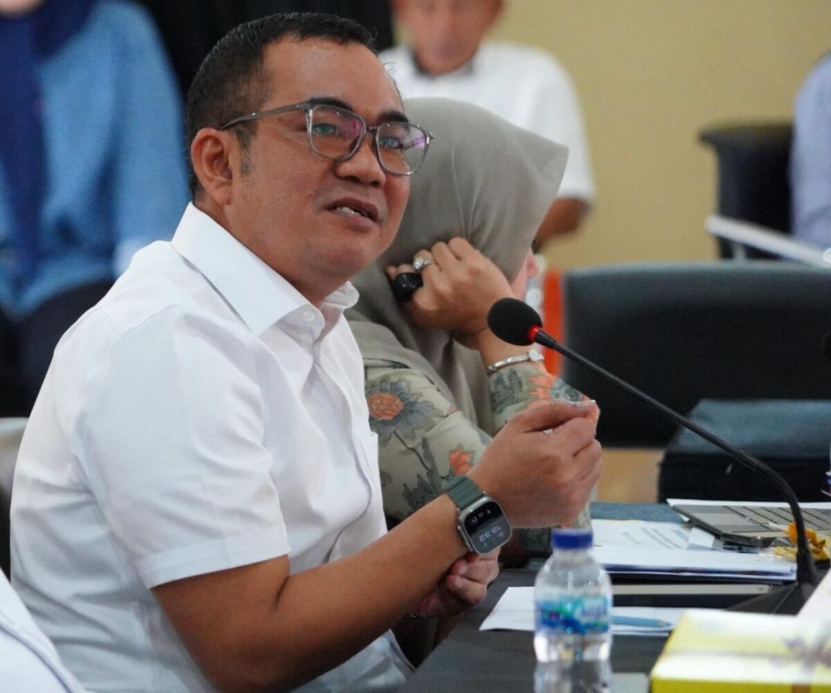 Anggota Banggar DPRD Sulsel Andi Patarai Amir.