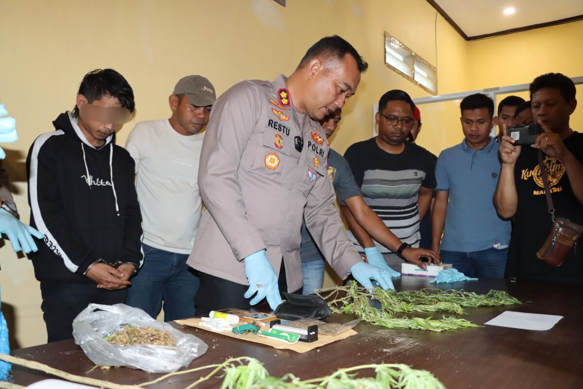 WS (kiri), pemilik ladang ganja di Lingkungan Bangsalayya, Kelurahan Borongrappoa, Kecamatan Kindang, Kabupaten Bulukumba ditetapkan sebagai tersangka oleh penyidik Satresnarkoba Polres Bulukumba.