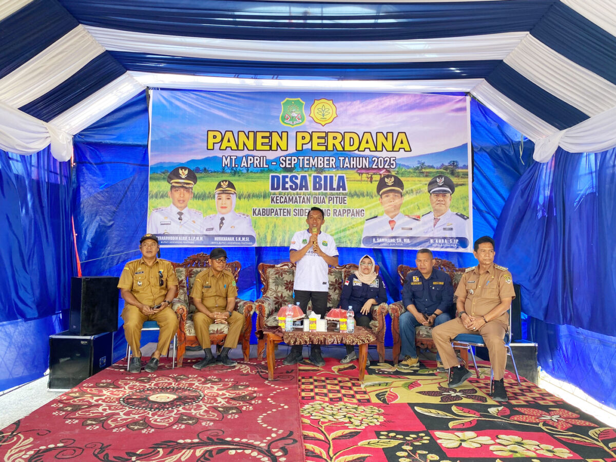PANEN PERDANA -- Bupati Sidrap H. Syaharuddin Alrif memimpin panen perdana padi bersama masyarakat Dusun Larumpu, Desa Bila Riawa, Kecamatan Dua Pitue,  Selasa (2/9).  
