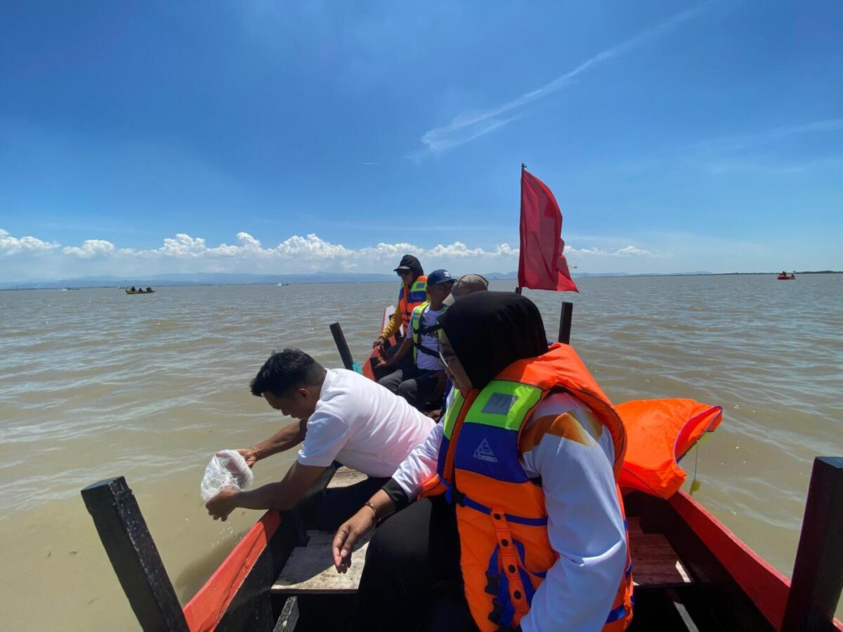 TABUR BENIH -- Bupati Sidrap Syaharuddin Alrif memimpin langsung prosesi penaburan benih ikan ke perairan danau yang menjadi ikon daerah tersebut, Minggu (21/9).
