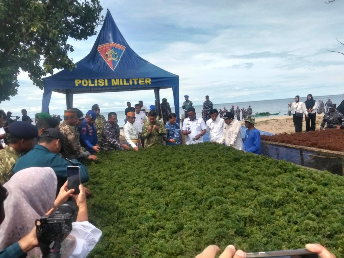 Bupati Takalar Mohammad Firdaus Daeng Manye bersama Komandan Daerah Angkatan Laut VI Laksda TNI Andi Abdul Aziz, Kepala Dinas Perikanan Provinsi Sulsel dan para pejabat menyaksikan langsung hasil panen rumput laut.