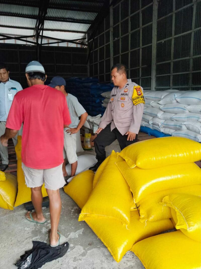 HASIL PANEN -- Bhabinkamtibmas Polsek Belopa Aipda Yusran melaksanakan kegiatan pendampingan kepada warga Desa Libukang, Kecamatan Kamanre dalam upaya mendukung kesejahteraan masyarakat desa binaannya, Senin (6/10).