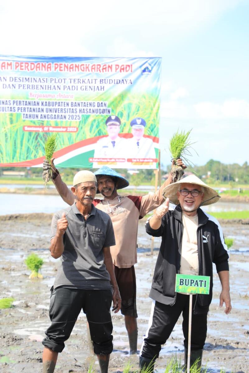 Wakil Bupati Bantaeng H. Sahabuddin saat Hasanuddin melaksanakan kegiatan Tanam Perdana Penangkaran Padi Genjah, bertempat di Jalan Lingkar Kantor KPU Kabupaten Bantaeng, Sabtu (1/10/2025).