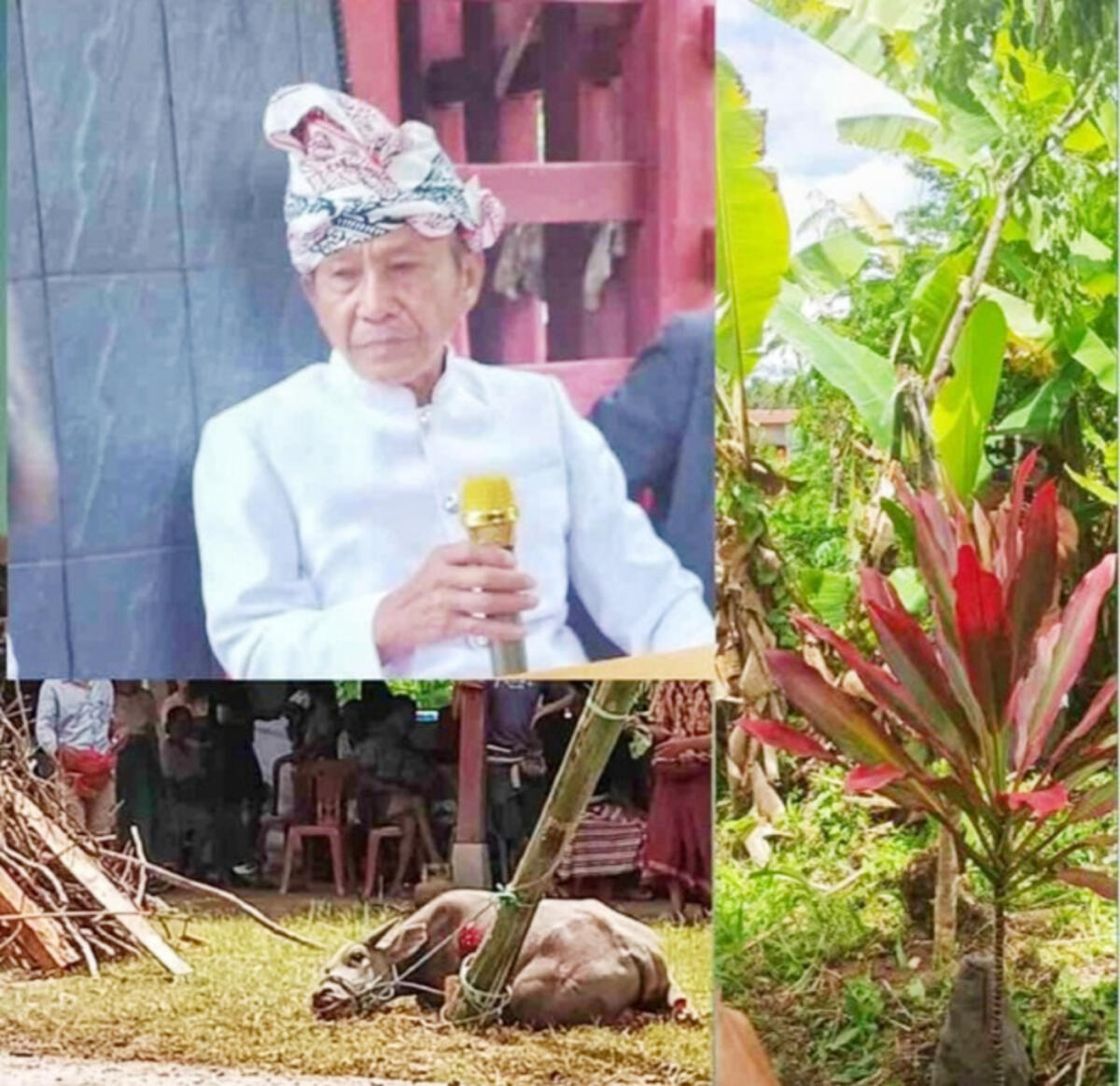 SANKSI ADAT -- Warga Lembang Rante La’bi Kambisa, Kecamatan Sangalla’ inisial TS menjalani hukum sanksi adat “Peraukan”gegara merusak Situs Tongkonan Bone pada, Kamis (20/11) lalu.  Tampak tokoh adat Pong Barumbun saat menyampaikan sambutan.
