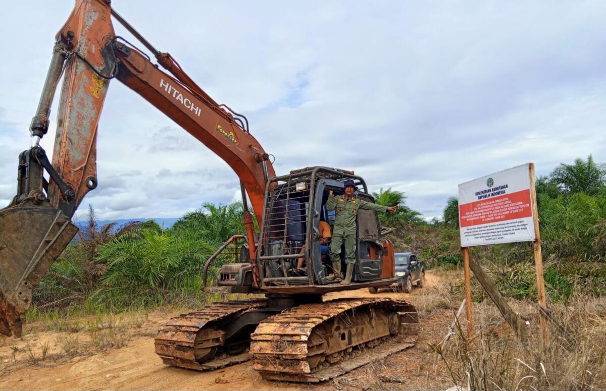 Pemerintah Target Tertibkan 5 Juta Hektare Lahan Ilegal di Kawasan Hutan Tahun Ini