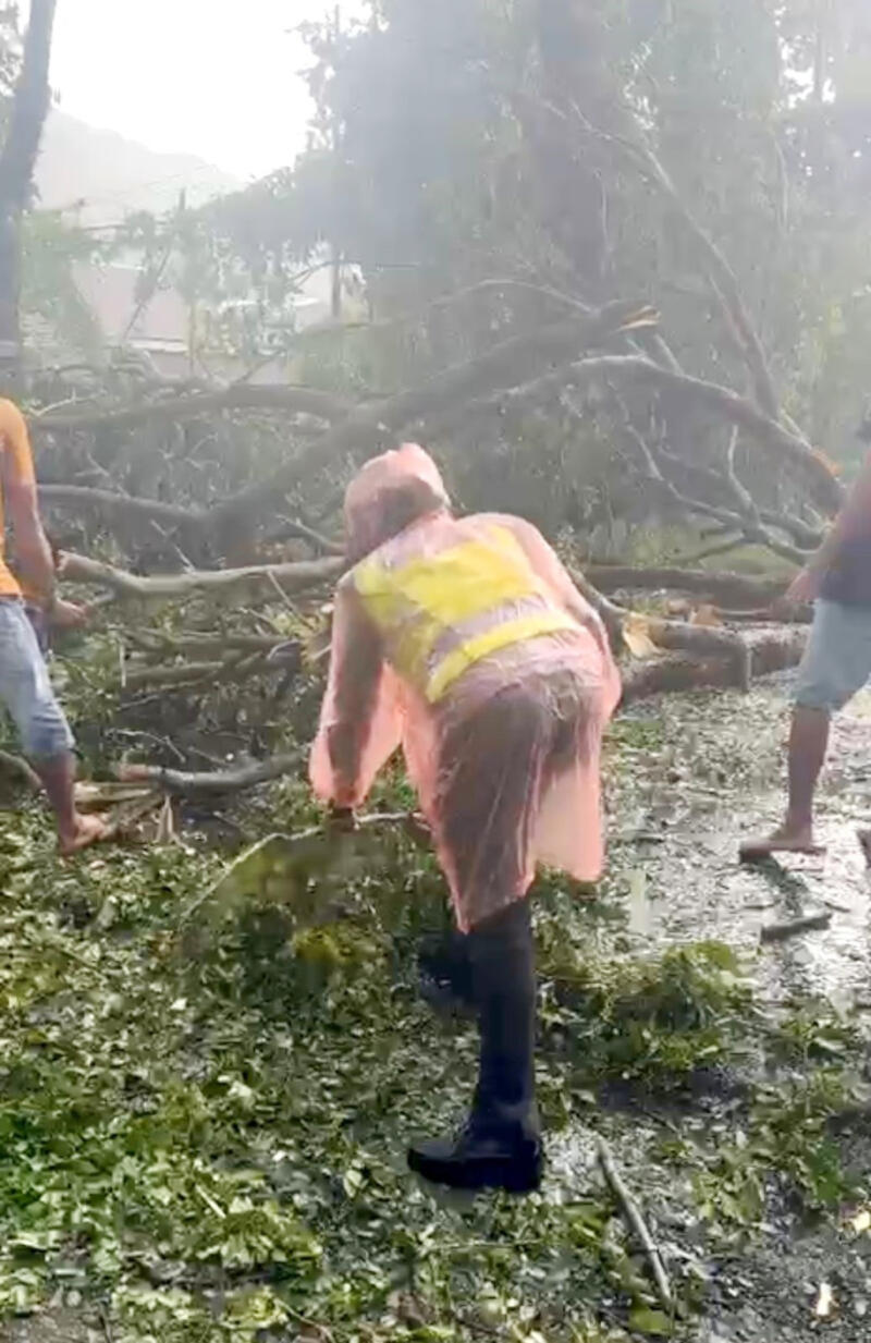 Polwan Polres Luwu Bantu Evakuasi Pohon Tumbang di Jalan Trans Sulawesi