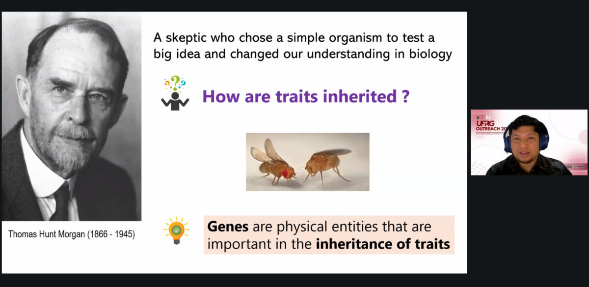 Kelompok Peneliti Lalat Unhas Perkenalkan Lalat Buah Sebagai Model Riset Strategis
