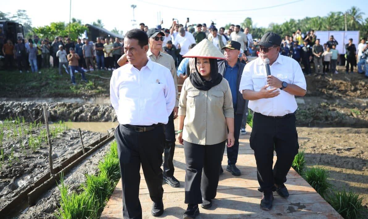 Kementan Alokasikan Rp336 Miliar untuk Rehabilitasi Sawah Terdampak Banjir di Sumatera