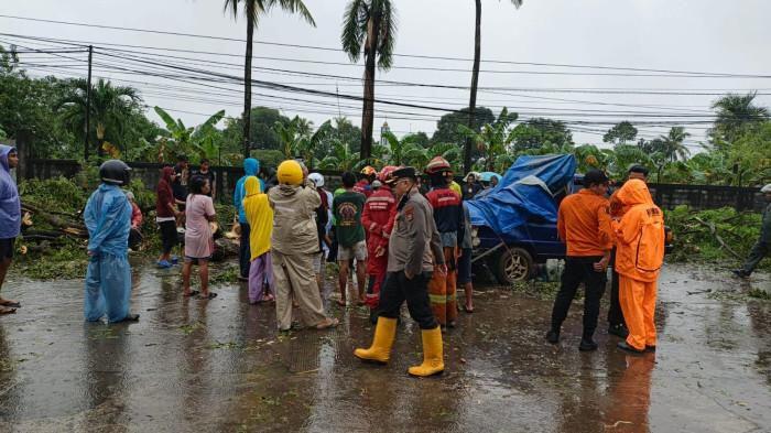 Pohon Tumbang Timpa Penjual Rambutan, BMKG Ingatkan Potensi Banjir dan Longsor