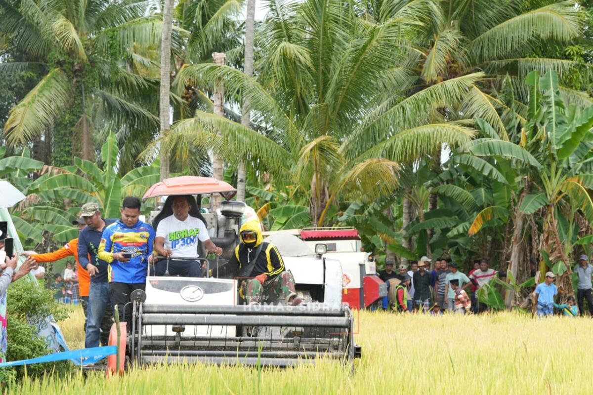 Panen Padi di Otting, Bupati Syahar Senang Harga Gabah di Atas Ketetapan Bulog