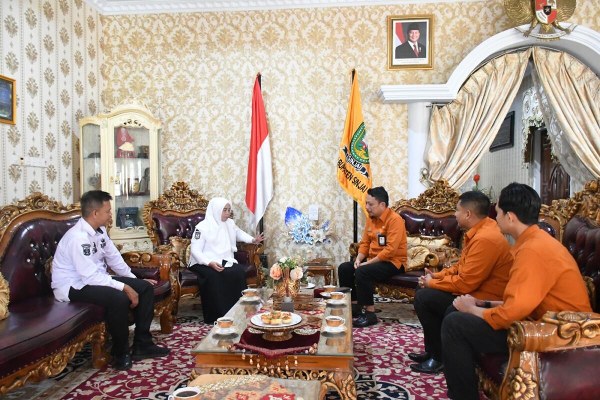 Bupati Sinjai Terima Audiensi BPS