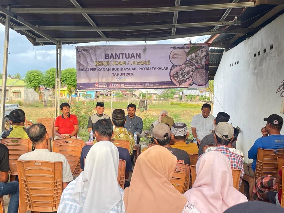 Bupati Sinjai Serahkan 1.200 Ekor Benur Udang