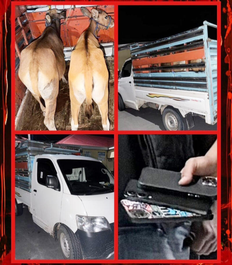 Menyerah, Lima Pelaku Curnak Disel