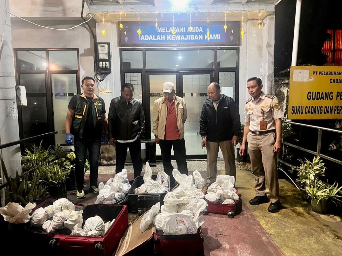 ist
KEPITING--Barantin melalui Karantina Sulawesi Selatan menahan sebanyak 53 ekor kepiting kenari (Birgus latro) di Pelabuhan Soekarno-Hatta Makassar, Selasa (24/3).
