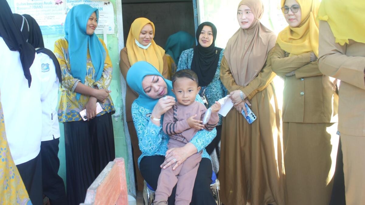 Andi Herfida Monev Posyandu Era Baru