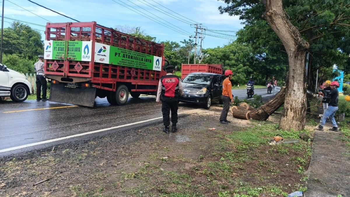 Pohon Tumbang di Bulukumba: Polisi-BPBD Evakuasi Cepat