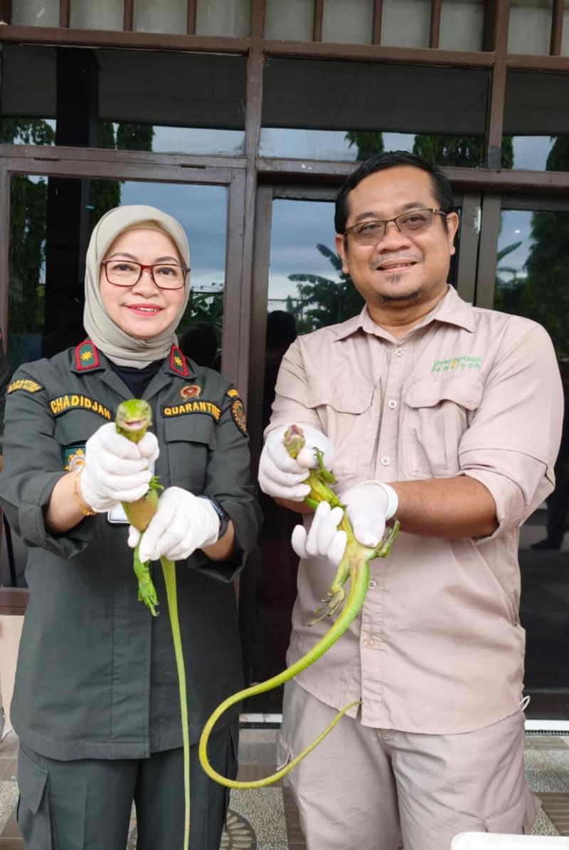 Karantina Selamatkan Puluhan Reptil Langka Papua