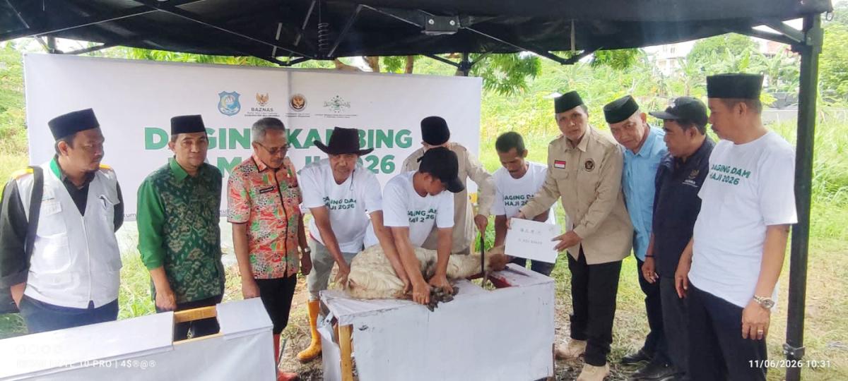 SEMBELIH DAM -- Baznas Kabupaten Bulukumba melaksanakan penyembelihan 129 ekor hewan sebagai DAM 129 Jamaah Haji Indonesia asal Kabupaten Bulukumba Tahun 1447 H/2026 M di Balai Ternak Samaturue, Kecamatan Gantarang, Kamis (11/6).