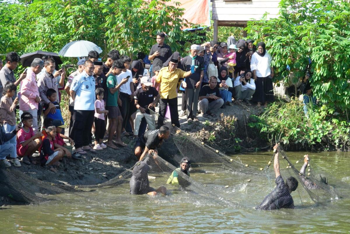 Panen Enam Ton Ikan Nila