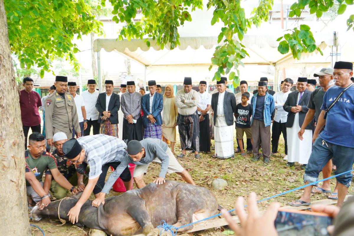 Bupati Pimpin Penyembelihan 32 Sapi Kurban