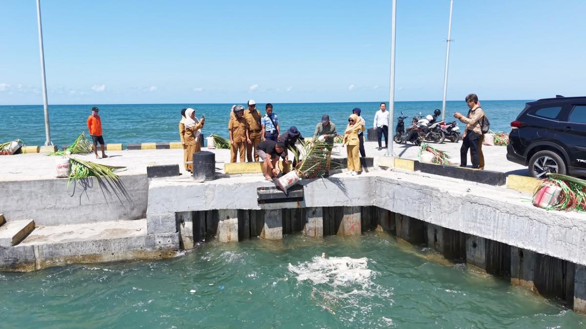 INOVASI -- Dinas Perikanan Pemkab Bulukumba menghadirkan inovasi dalam pengelolaan sumber daya kelautan yang berkelanjutan sebagai langkah terbaru adalah pemasangan rumpon dasar mini di kawasan Kolam Labuh Bentenge, Selasa (14/7). 
